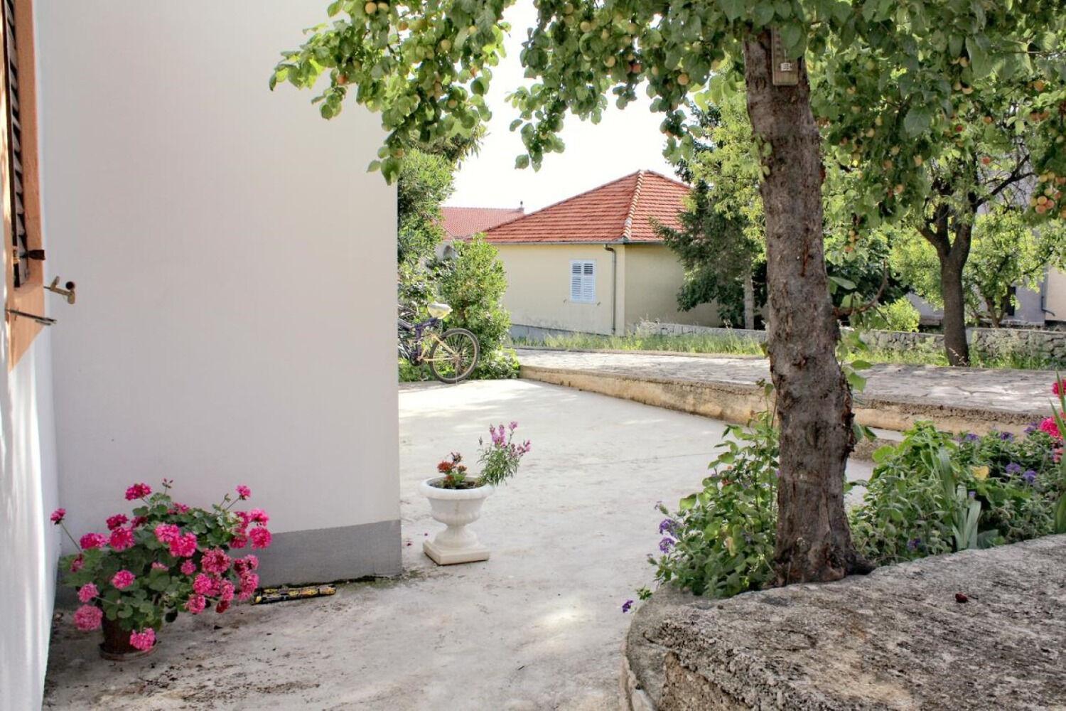 Apartments Slavica - Free Parking يزيرا المظهر الخارجي الصورة